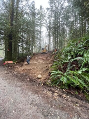 Forest scene showing a lot being developed.